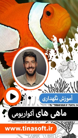 آموزش نگهداری ماهی های آکواریومی
