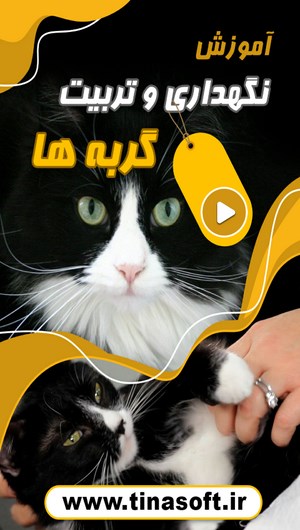 آموزش نگهداری و تربیت گربه ها
