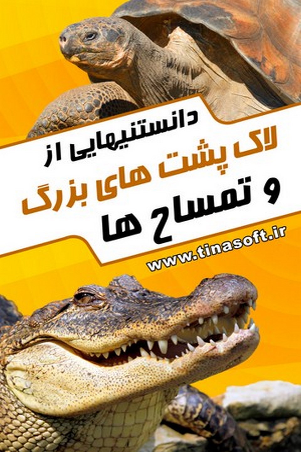 دانستنیهایی از لاک پشت ها وتمساح ها