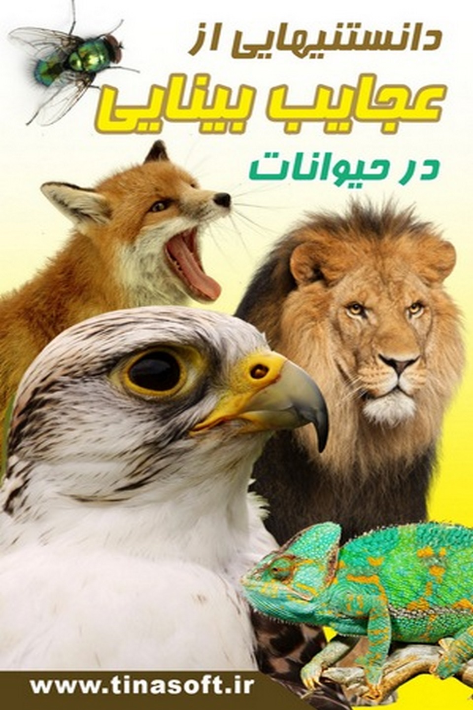 عجایب بینایی در حیوانات