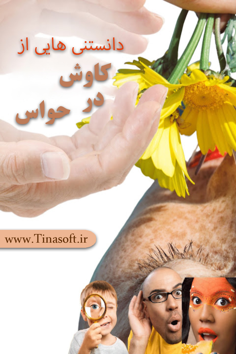 دانستنی هایی از کاوش در حواس